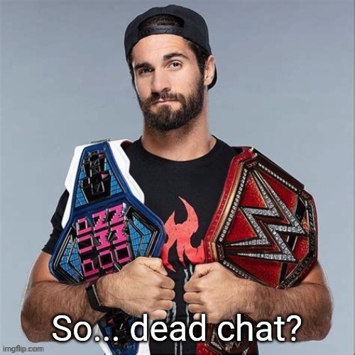 Cool seth rollins | So... dead chat? | image tagged in cool seth rollins | made w/ Imgflip meme maker