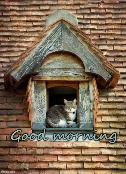 Good morning | made w/ Imgflip meme maker