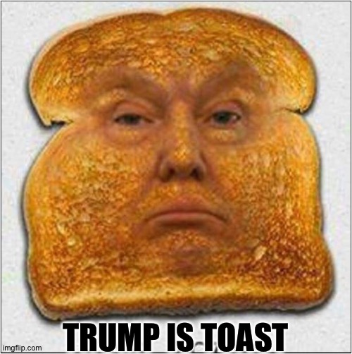 Definitely toast now | TRUMP IS TOAST | image tagged in trump toast | made w/ Imgflip meme maker