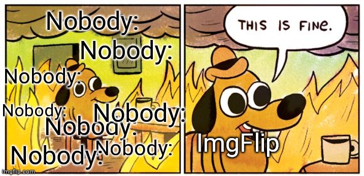 Nobody: | Nobody:; Nobody:; Nobody:; Nobody:; Nobody:; Nobody:; ImgFlip; Nobody:; Nobody: | image tagged in memes,this is fine | made w/ Imgflip meme maker