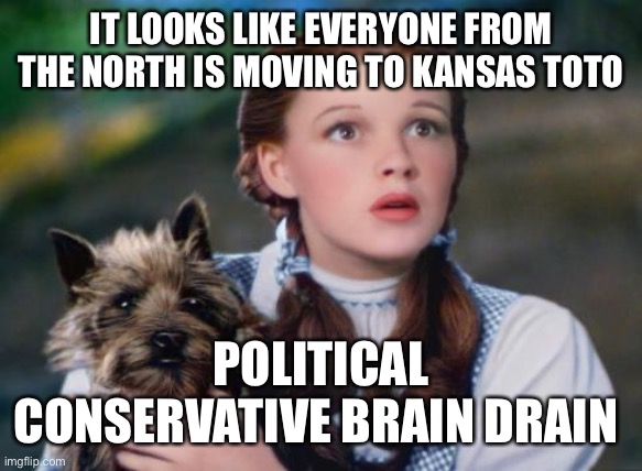 Toto Wizard of Oz | IT LOOKS LIKE EVERYONE FROM THE NORTH IS MOVING TO KANSAS TOTO; POLITICAL CONSERVATIVE BRAIN DRAIN | image tagged in toto wizard of oz | made w/ Imgflip meme maker