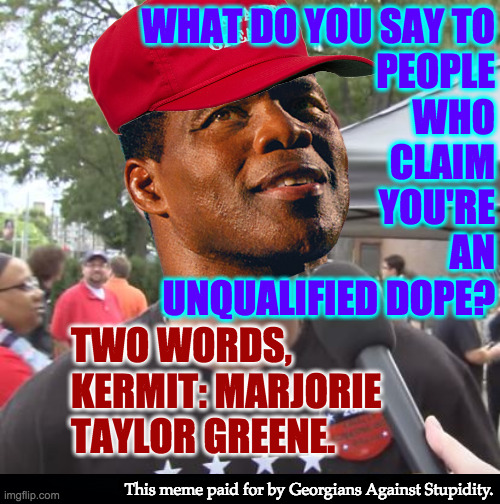 Anyone can grow up to be Ted Cruz. | WHAT DO YOU SAY TO
PEOPLE
WHO
CLAIM
YOU'RE
AN
UNQUALIFIED DOPE? TWO WORDS,
KERMIT: MARJORIE
TAYLOR GREENE. This meme paid for by Georgians Against Stupidity. | image tagged in memes,herschel walker | made w/ Imgflip meme maker