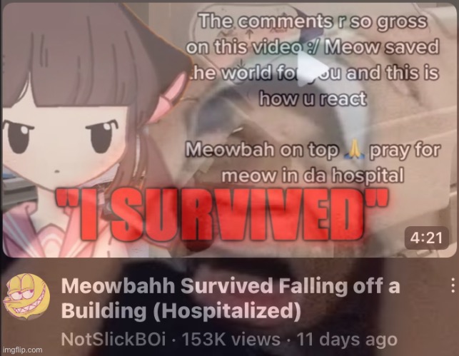 Meowbahh Survived Falling off a Building (Hospitalized) 