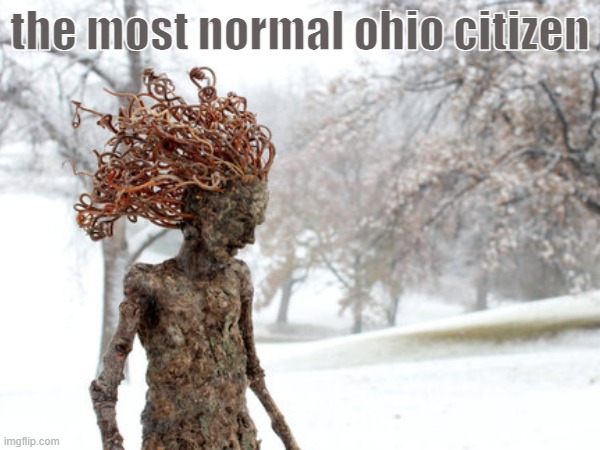 only in ohio ? | the most normal ohio citizen | image tagged in memes,fun,ohio,wtf | made w/ Imgflip meme maker