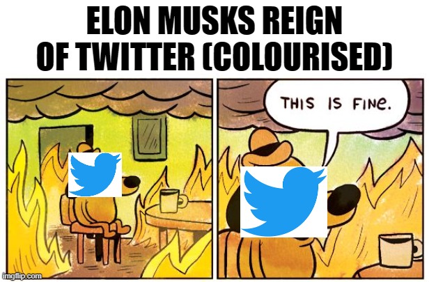 It's slowly becoming Hell | ELON MUSKS REIGN OF TWITTER (COLOURISED) | image tagged in memes,this is fine,funny,funny memes,just a tag,twitter | made w/ Imgflip meme maker