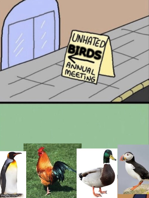 note: i like all birds so i am just doing ones i know people like | BIRDS | image tagged in unhated blank annual meeting | made w/ Imgflip meme maker