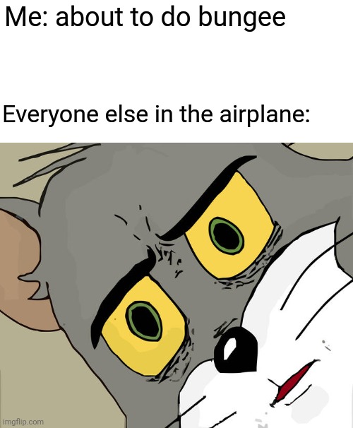 Unsettled Tom Meme | Me: about to do bungee; Everyone else in the airplane: | image tagged in memes,unsettled tom | made w/ Imgflip meme maker