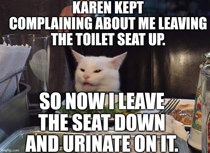 KAREN KEPT COMPLAINING ABOUT ME LEAVING THE TOILET SEAT UP. SO NOW I LEAVE THE SEAT DOWN AND URINATE ON IT. | image tagged in smudge the cat | made w/ Imgflip meme maker