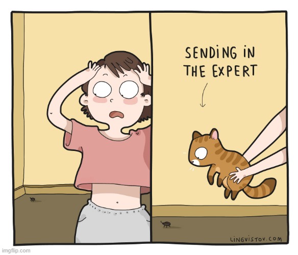 A Cat Lady's Way Of Thinking | image tagged in memes,comics,lady,bug,cats,the expert | made w/ Imgflip meme maker