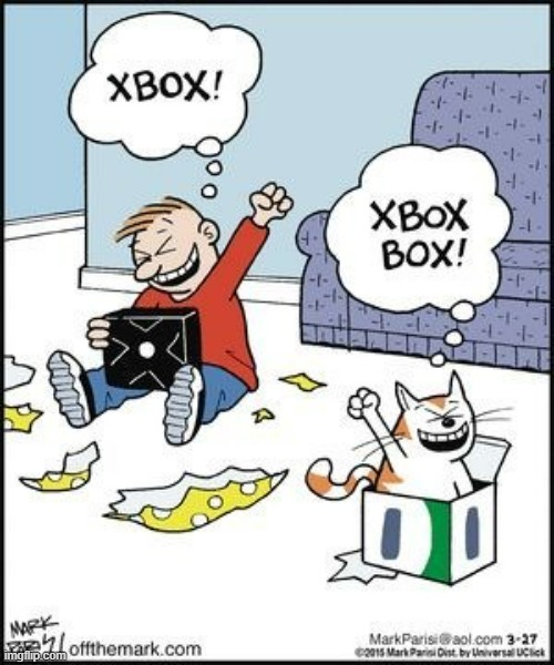 image tagged in memes,comics,child,xbox,cats,box | made w/ Imgflip meme maker