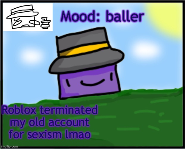 Neons Mafia template | Mood: baller; Roblox terminated my old account for sexism lmao | image tagged in neons mafia template | made w/ Imgflip meme maker