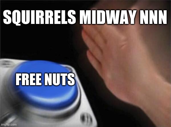 NNN | SQUIRRELS MIDWAY NNN; FREE NUTS | image tagged in memes,blank nut button | made w/ Imgflip meme maker