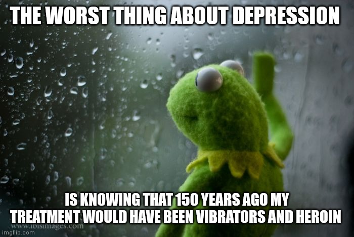 kermit window |  THE WORST THING ABOUT DEPRESSION; IS KNOWING THAT 150 YEARS AGO MY TREATMENT WOULD HAVE BEEN VIBRATORS AND HEROIN | image tagged in kermit window | made w/ Imgflip meme maker