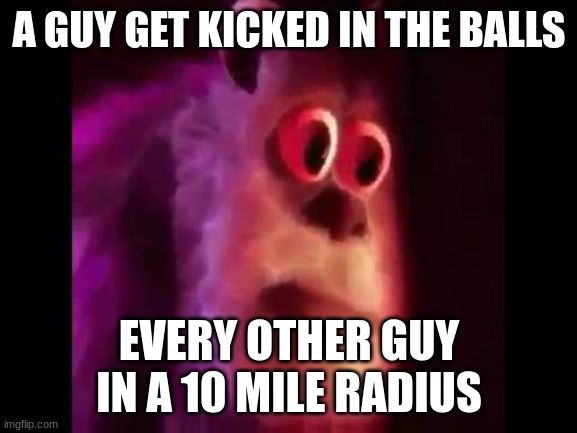 Sully Groan | A GUY GET KICKED IN THE BALLS; EVERY OTHER GUY IN A 10 MILE RADIUS | image tagged in sully groan | made w/ Imgflip meme maker