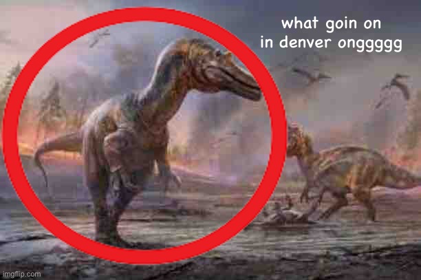 what goin on in denver onggggg | made w/ Imgflip meme maker