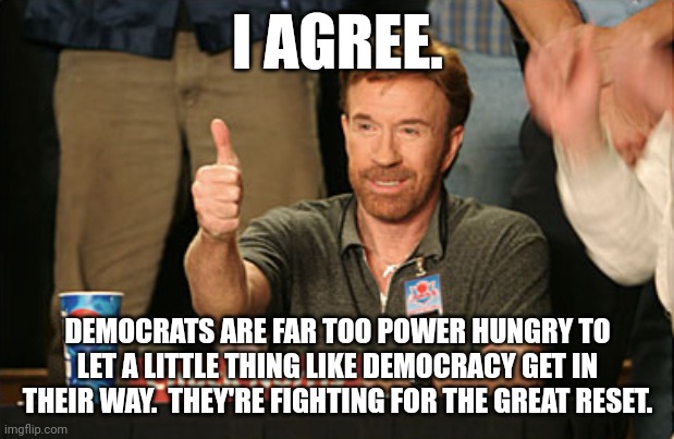 Chuck Norris Approves Meme | I AGREE. DEMOCRATS ARE FAR TOO POWER HUNGRY TO LET A LITTLE THING LIKE DEMOCRACY GET IN THEIR WAY.  THEY'RE FIGHTING FOR THE GREAT RESET. | image tagged in memes,chuck norris approves,chuck norris | made w/ Imgflip meme maker