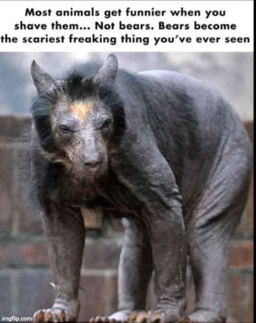 image tagged in funny memes | made w/ Imgflip meme maker