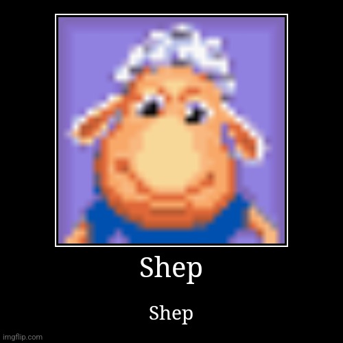 Shep | image tagged in funny,demotivationals,sheep | made w/ Imgflip demotivational maker