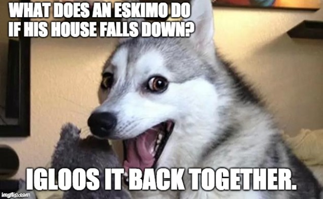 Eskimo | image tagged in bad pun | made w/ Imgflip meme maker