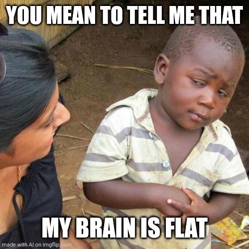 Oop | YOU MEAN TO TELL ME THAT; MY BRAIN IS FLAT | image tagged in memes,third world skeptical kid,flat earth | made w/ Imgflip meme maker