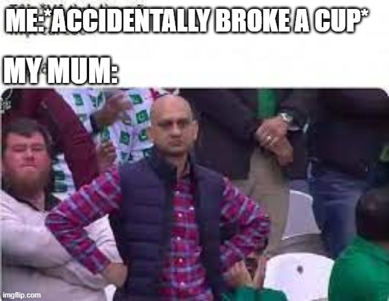 POV you are the child of an asian mum | ME:*ACCIDENTALLY BROKE A CUP*; MY MUM: | image tagged in angry asian,funny asian face | made w/ Imgflip meme maker
