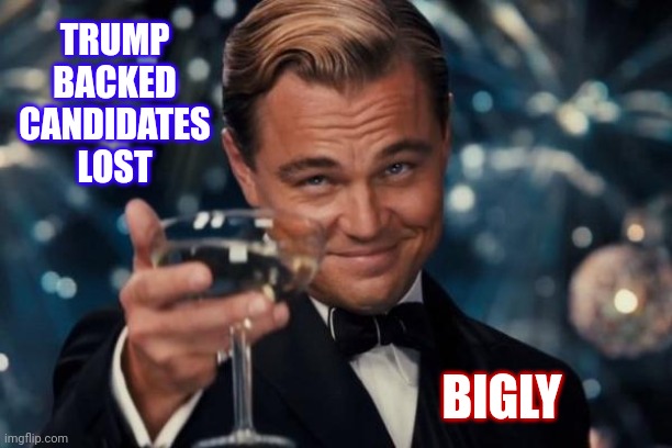 Should Have Been Bigger |  TRUMP BACKED CANDIDATES LOST; BIGLY | image tagged in memes,leonardo dicaprio cheers,biggest loser,trump lost,trumpublican losers,election deniers | made w/ Imgflip meme maker
