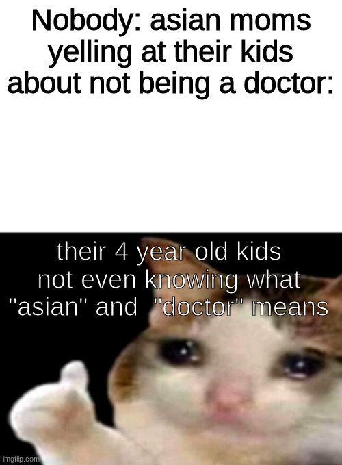 oh ok mom thanks | Nobody: asian moms yelling at their kids about not being a doctor:; their 4 year old kids not even knowing what "asian" and  "doctor" means | image tagged in sad cat thumbs up white spacing | made w/ Imgflip meme maker