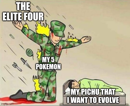 Pokemon | THE ELITE FOUR; MY 5 POKEMON; MY PICHU THAT I WANT TO EVOLVE | image tagged in soldier protecting sleeping child | made w/ Imgflip meme maker