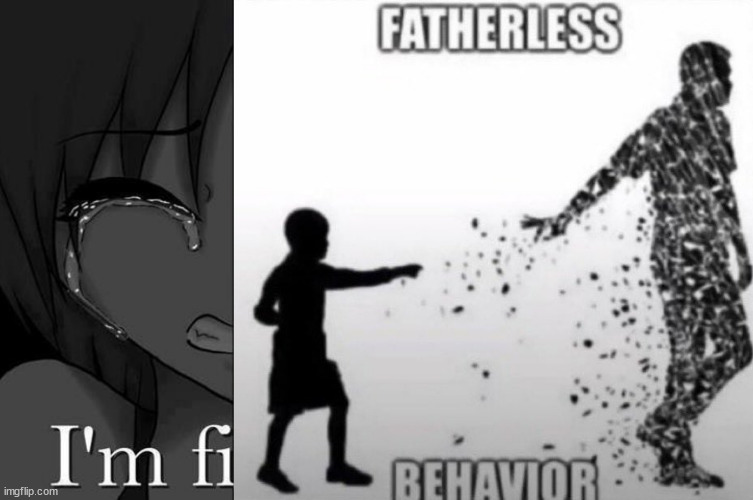 image tagged in im fine,fatherless behavior | made w/ Imgflip meme maker