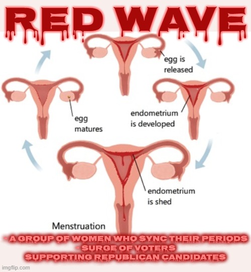 REPUBLICAN RED WAVE | RED WAVE; - A GROUP OF WOMEN WHO SYNC THEIR PERIODS
- SURGE OF VOTERS SUPPORTING REPUBLICAN CANDIDATES | image tagged in red wave,republican,period,menstrual cycle,vote,women sync | made w/ Imgflip meme maker