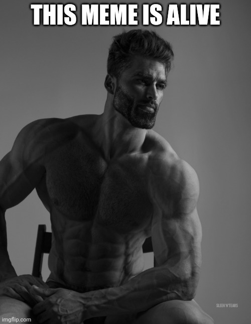 Giga Chad | THIS MEME IS ALIVE | image tagged in giga chad | made w/ Imgflip meme maker