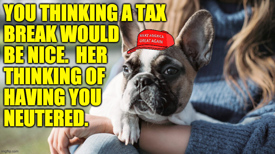 Tax break dog. | YOU THINKING A TAX
BREAK WOULD
BE NICE.  HER
THINKING OF
HAVING YOU
NEUTERED. | image tagged in tax break dog,memes,metaphors | made w/ Imgflip meme maker