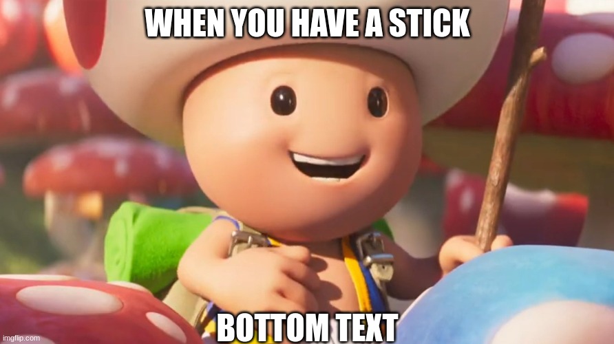 toad | WHEN YOU HAVE A STICK; BOTTOM TEXT | image tagged in mario,toad,stick | made w/ Imgflip meme maker
