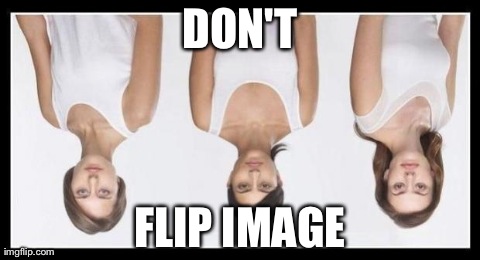 DON'T FLIP IMAGE | made w/ Imgflip meme maker