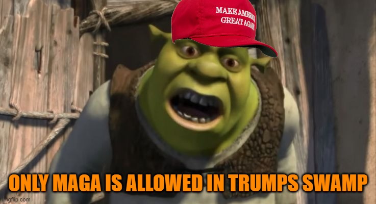 Shrek What are you doing in my swamp? | ONLY MAGA IS ALLOWED IN TRUMPS SWAMP | image tagged in shrek what are you doing in my swamp | made w/ Imgflip meme maker