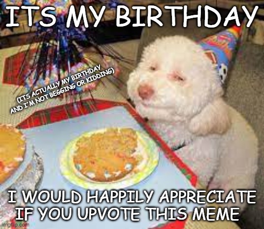 It's my birthday! |  ITS MY BIRTHDAY; (ITS ACTUALLY MY BIRTHDAY AND I'M NOT BEGGING OR KIDDING); I WOULD HAPPILY APPRECIATE IF YOU UPVOTE THIS MEME | image tagged in birthday dog | made w/ Imgflip meme maker