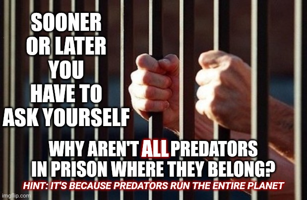 If You Look At The WHOLE Picture It Seems Daunting But, It's Not.  We CAN Accomplish Everything | SOONER OR LATER YOU HAVE TO ASK YOURSELF; ALL; WHY AREN'T ALL PREDATORS IN PRISON WHERE THEY BELONG? HINT: IT'S BECAUSE PREDATORS RUN THE ENTIRE PLANET | image tagged in prisoner,memes,human race,intelligent life,humanity,people | made w/ Imgflip meme maker
