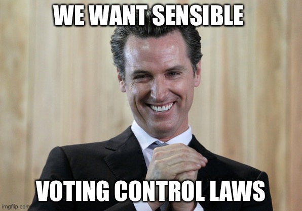 Scheming Gavin Newsom  | WE WANT SENSIBLE VOTING CONTROL LAWS | image tagged in scheming gavin newsom | made w/ Imgflip meme maker