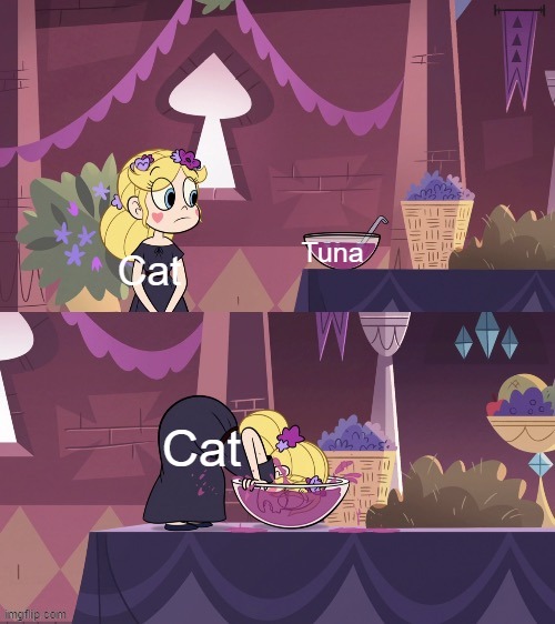 Star Butterfly Shoving her Face into the Juice Bowl | Tuna; Cat; Cat | image tagged in star butterfly shoving her face into the juice bowl | made w/ Imgflip meme maker