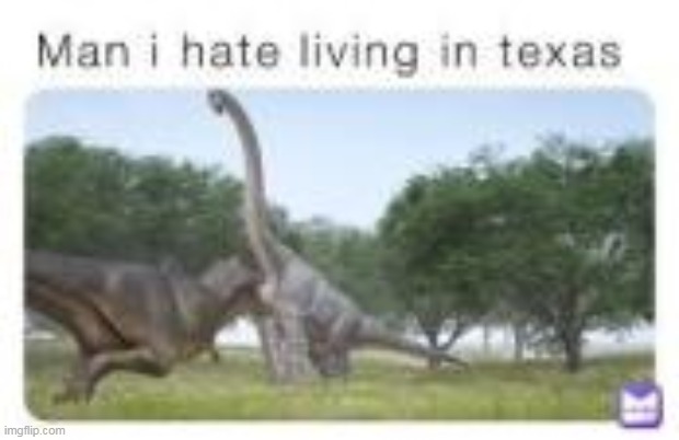 Man I hate living in Texas | image tagged in man i hate living in texas | made w/ Imgflip meme maker