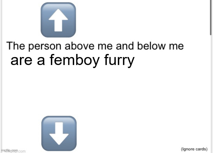 Person above below | are a femboy furry | image tagged in person above below | made w/ Imgflip meme maker