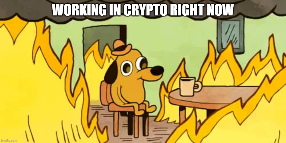 Dog on fire | WORKING IN CRYPTO RIGHT NOW | image tagged in dog on fire | made w/ Imgflip meme maker