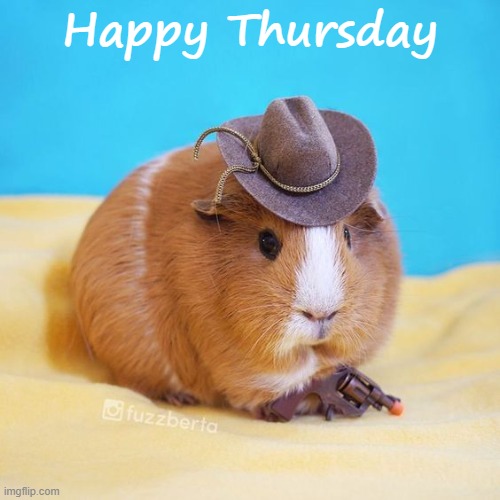 Happy Thursday | Happy Thursday | image tagged in conejillo de indias | made w/ Imgflip meme maker