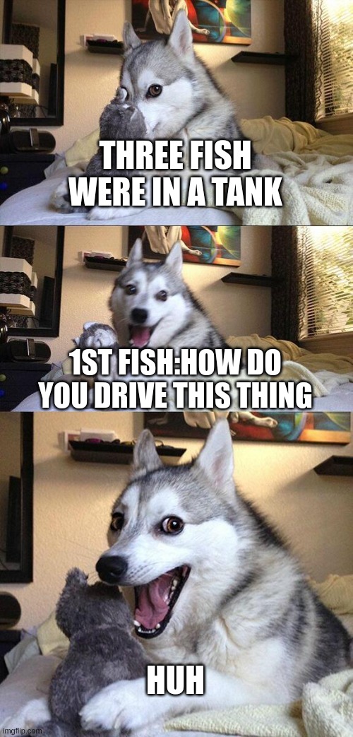 Bad Pun Dog | THREE FISH WERE IN A TANK; 1ST FISH:HOW DO YOU DRIVE THIS THING; HUH | image tagged in memes,bad pun dog | made w/ Imgflip meme maker