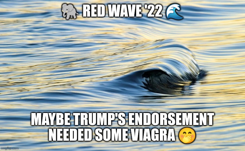 Red Wave '22 viagra | 🐘 RED WAVE '22 🌊; MAYBE TRUMP'S ENDORSEMENT NEEDED SOME VIAGRA 🤭 | image tagged in red wave '22 | made w/ Imgflip meme maker