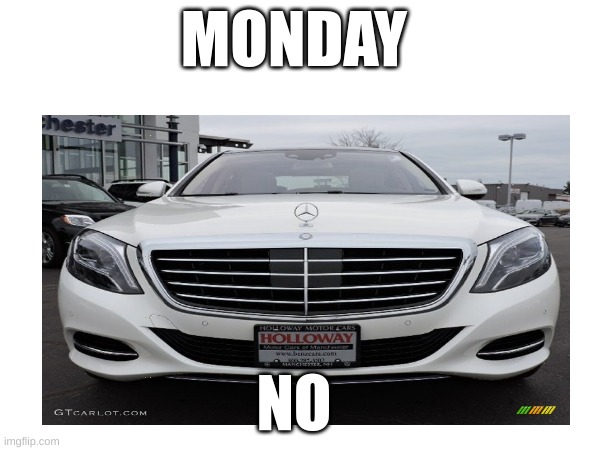s class hates Mondays | MONDAY; NO | image tagged in memes | made w/ Imgflip meme maker