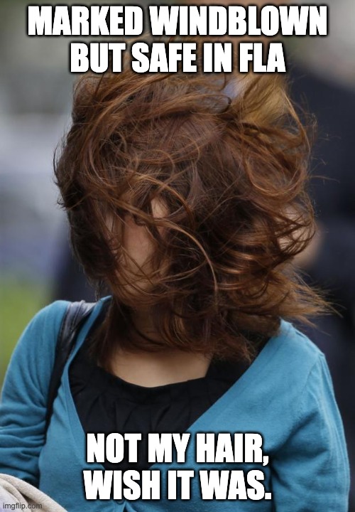 Marked safe and wind-blown in Fla. | MARKED WINDBLOWN BUT SAFE IN FLA; NOT MY HAIR, WISH IT WAS. | image tagged in hair wind girl windy | made w/ Imgflip meme maker
