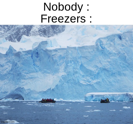 Very true. Thought of this while walking outside. | Nobody :
Freezers : | image tagged in so true memes,i dont know what to put here so here | made w/ Imgflip meme maker