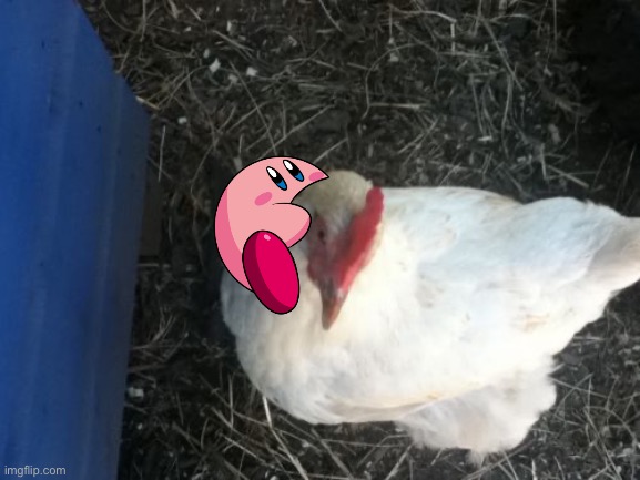 Angry Chicken Boss Meme | image tagged in memes,angry chicken boss | made w/ Imgflip meme maker