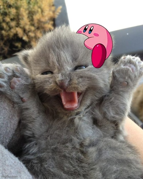 KIRBY ENOUGH | image tagged in yay kitty | made w/ Imgflip meme maker